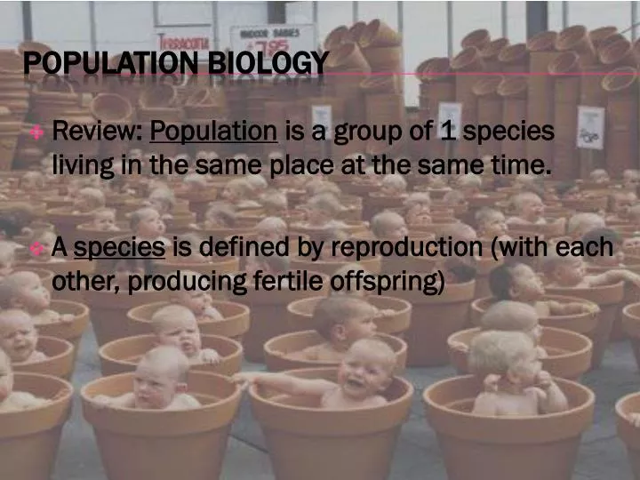 population biology