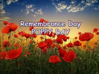 Remembrance Day POPPY DAY