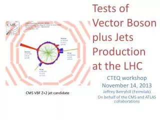 CTEQ workshop November 14, 2013 Jeffrey Berryhill ( Fermilab )