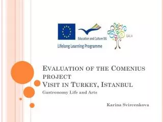 Evaluation of the Comenius project Visit in Turkey , Istanbul