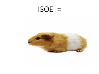 ISOE =