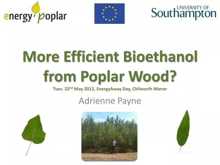 more efficient bioethanol from poplar wood tues 22 nd may 2012 energyaway day chilworth manor