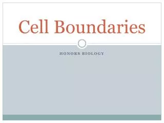 cell boundaries