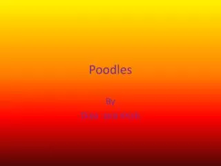 P oodles