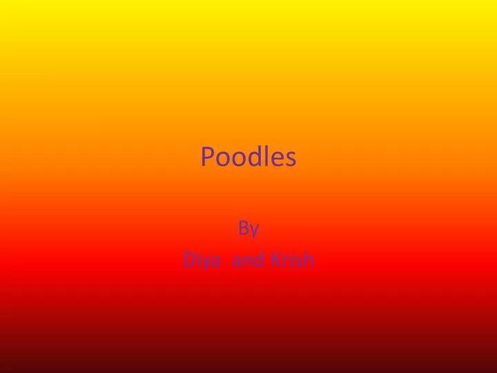 p oodles