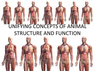 UNIFYING CONCEPTS OF ANIMAL STRUCTURE AND FUNCTION