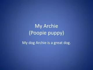 My Archie ( Poopie puppy)