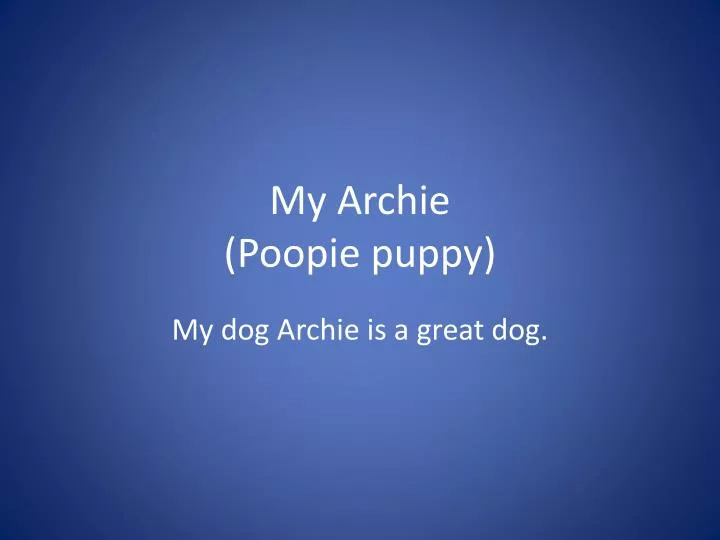 my archie poopie puppy