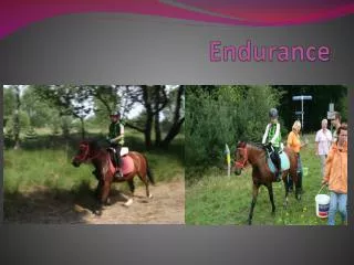 endurance