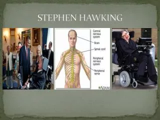 STEPHEN HAWKING