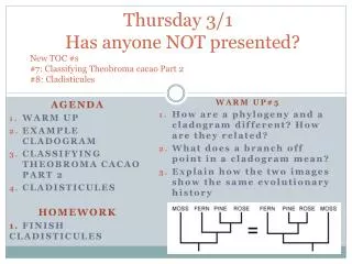 Agenda Warm Up Example Cladogram Classifying Theobroma cacao part 2 Cladisticules Homework
