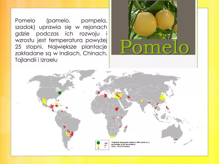 pomelo