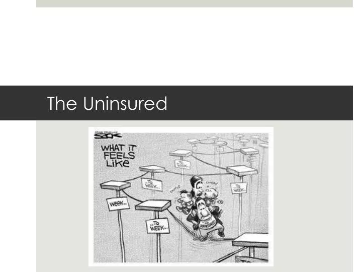 The Uninsured