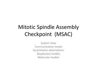 Mitotic Spindle Assembly Checkpoint (MSAC)