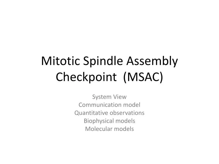 mitotic spindle assembly checkpoint msac