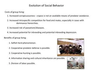 Evolution of Social Behavior