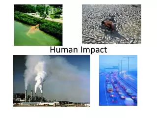 Human Impact