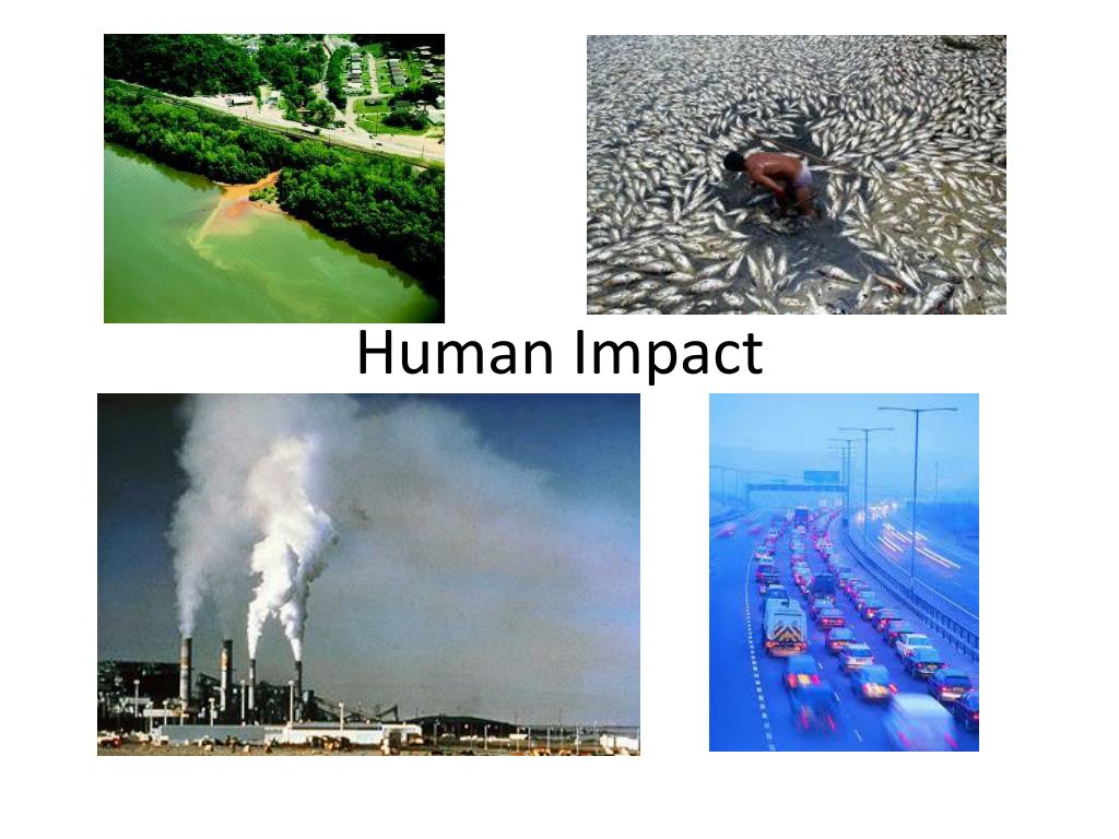 PPT - Human Impact PowerPoint Presentation, free download - ID:2609239
