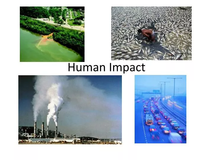 human impact