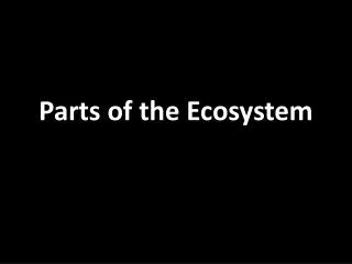 parts of the ecosystem
