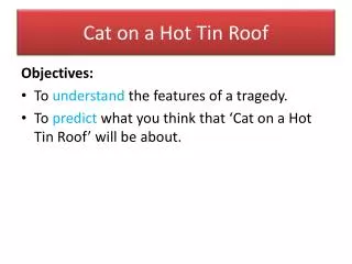 Cat on a Hot Tin Roof