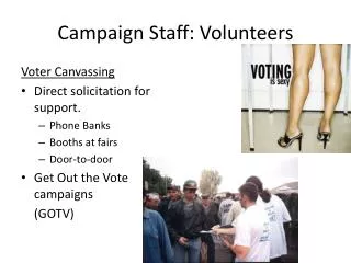 Campaign Staff: Volunteers