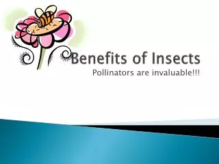 Benefits of Insects