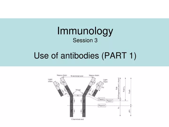 immunology session 3 u se of antibodies part 1