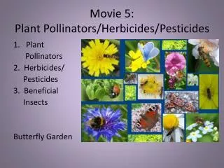 Movie 5: Plant Pollinators/Herbicides/Pesticides