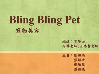 Bling Bling Pet