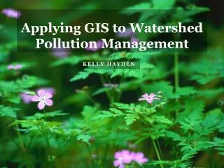 Applying GIS to Watershed Pollution Management