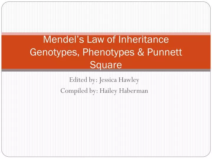 mendel s law of inheritance genotypes phenotypes punnett square