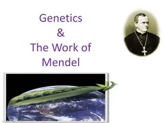 Genetics &amp; The Work of Mendel
