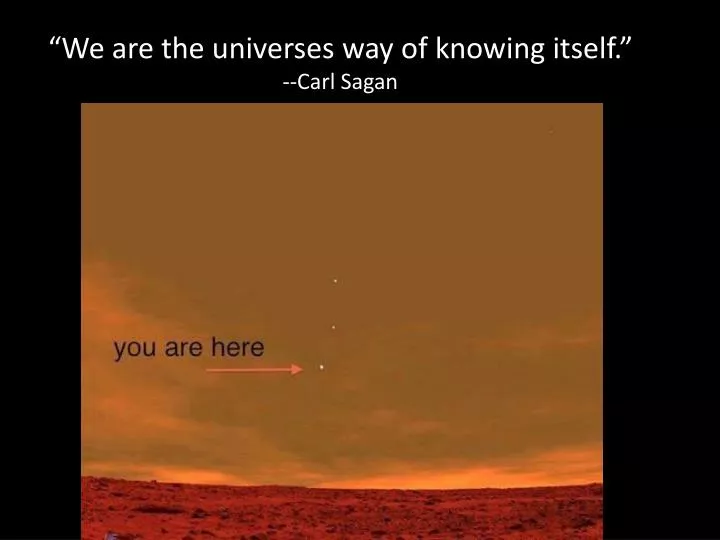 we are the universes way of knowing itself carl sagan