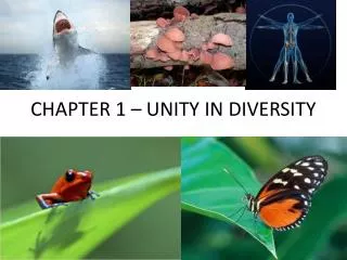 CHAPTER 1 – UNITY IN DIVERSITY