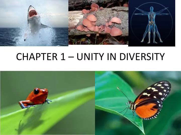 chapter 1 unity in diversity