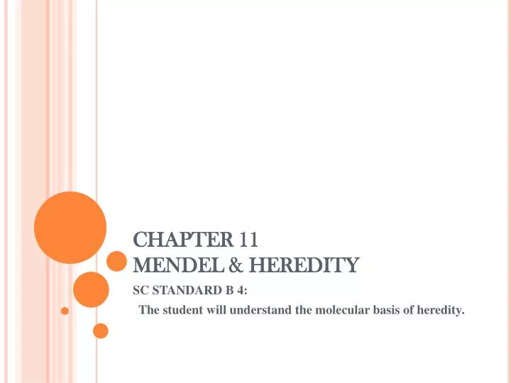 chapter 11 mendel heredity