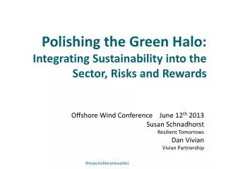 Polishing the Green Halo: Integrating Sustainability into the Sector, Risks and Rewards