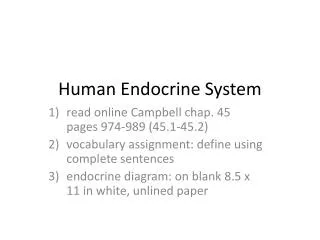 Human Endocrine System