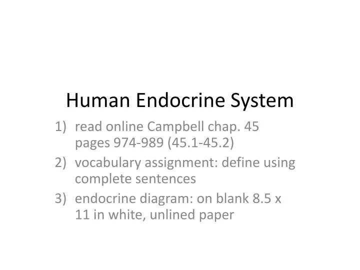 human endocrine system