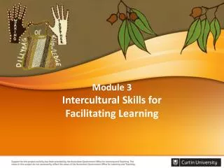 Module 3 Intercultural Skills for Facilitating Learning