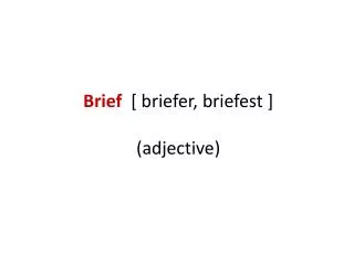 brief briefer briefest adjective