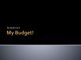 My Budget!