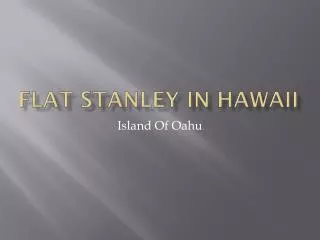 Flat Stanley In Hawaii