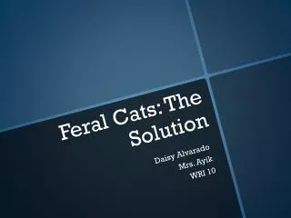 Feral Cats: The Solution