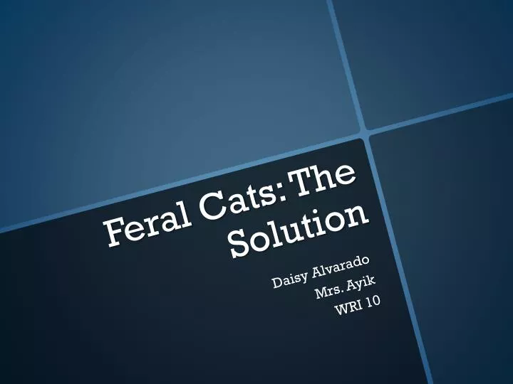 feral cats the solution