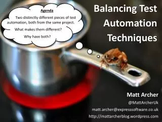 Balancing Test Automation Techniques