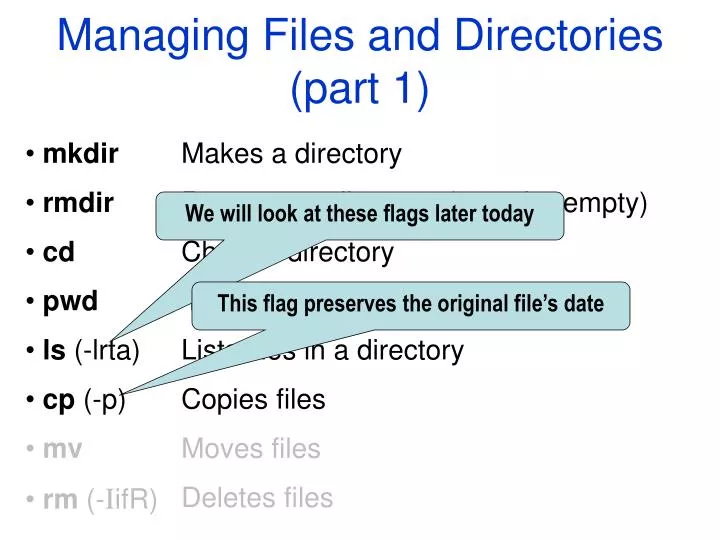 managing files and directories part 1