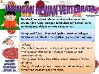 JARINGAN HEWAN VERTEBRATA