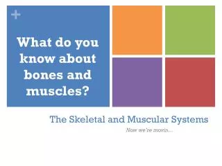 The Skeletal and Muscular Systems